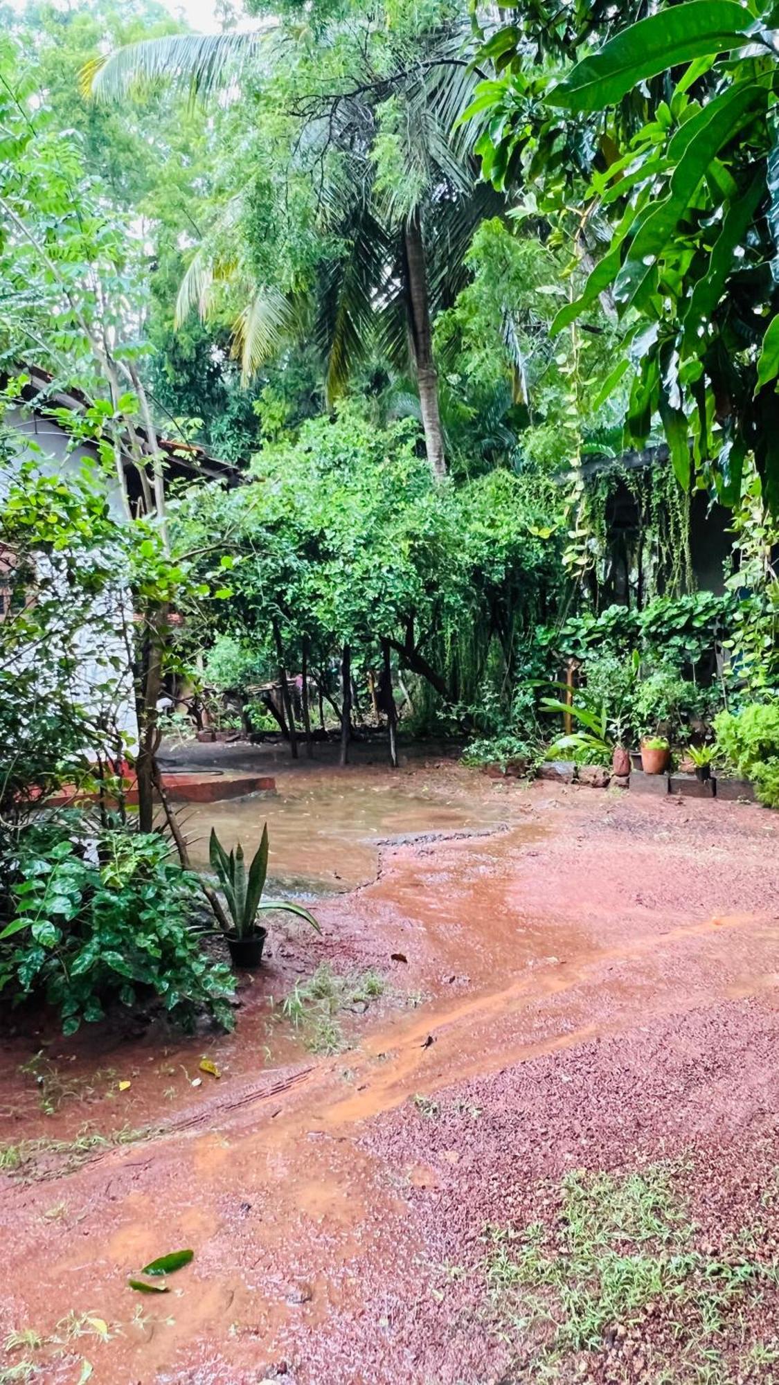 Kataragama Homestay المظهر الخارجي الصورة