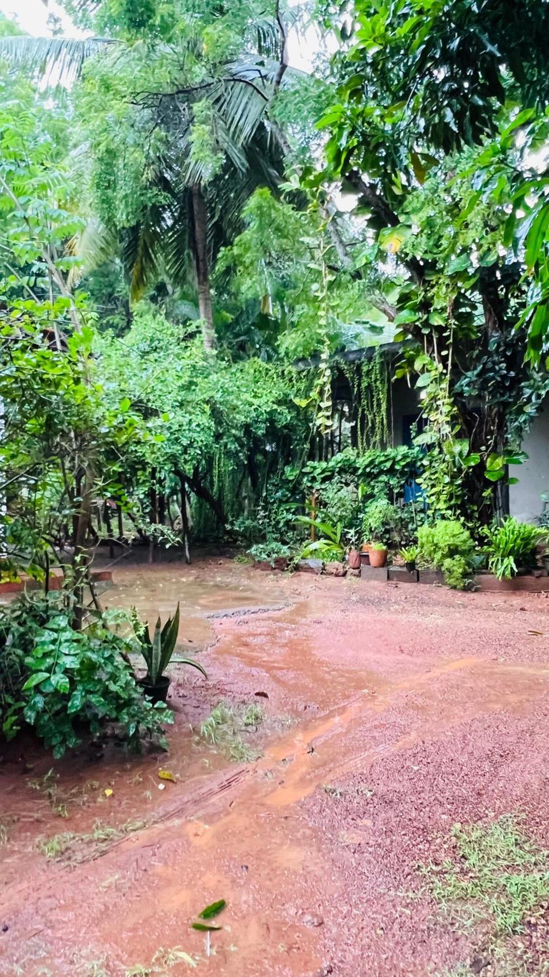Kataragama Homestay المظهر الخارجي الصورة