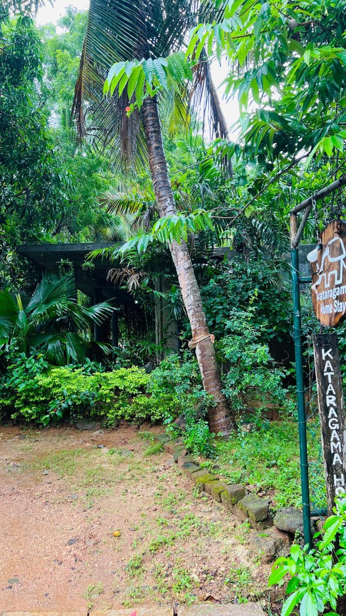 Kataragama Homestay المظهر الخارجي الصورة