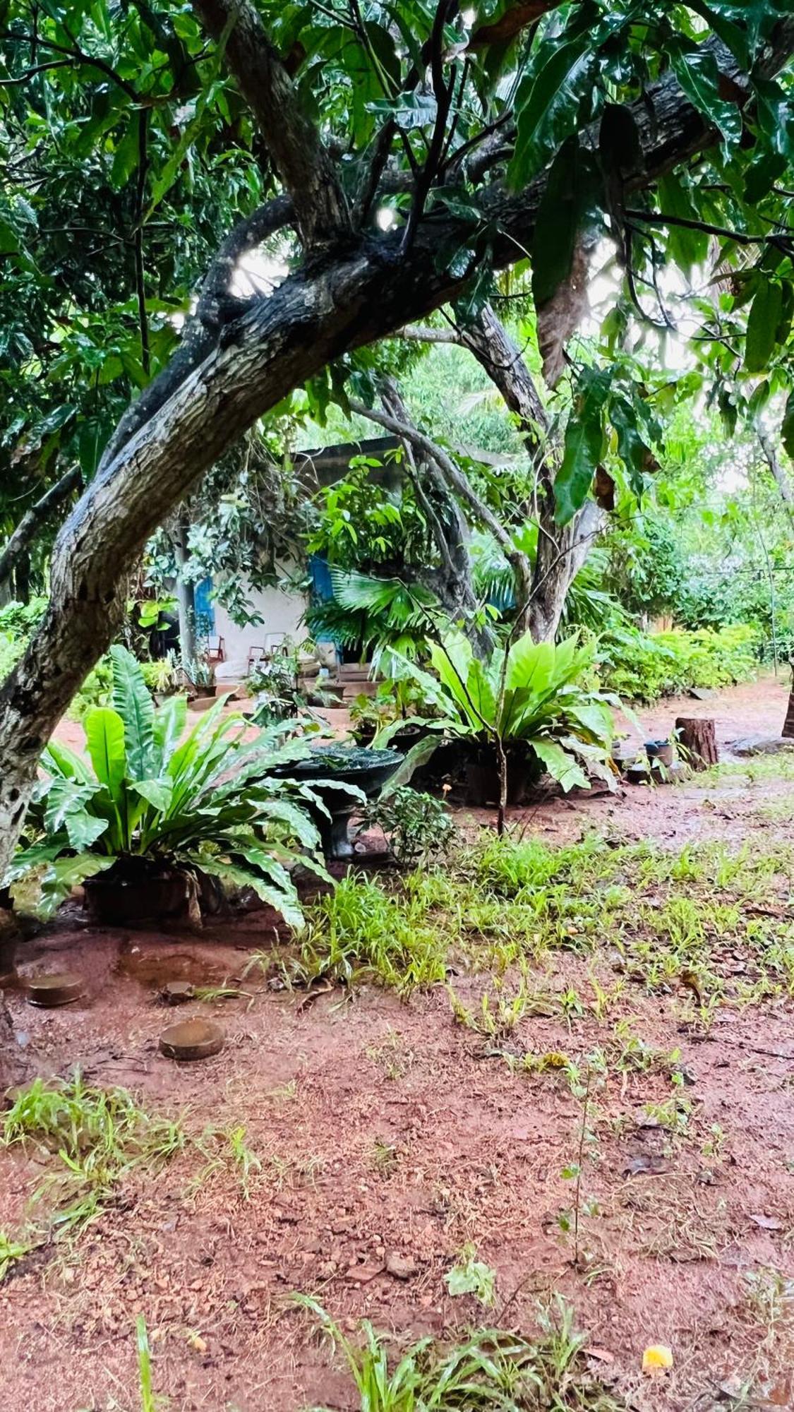 Kataragama Homestay المظهر الخارجي الصورة