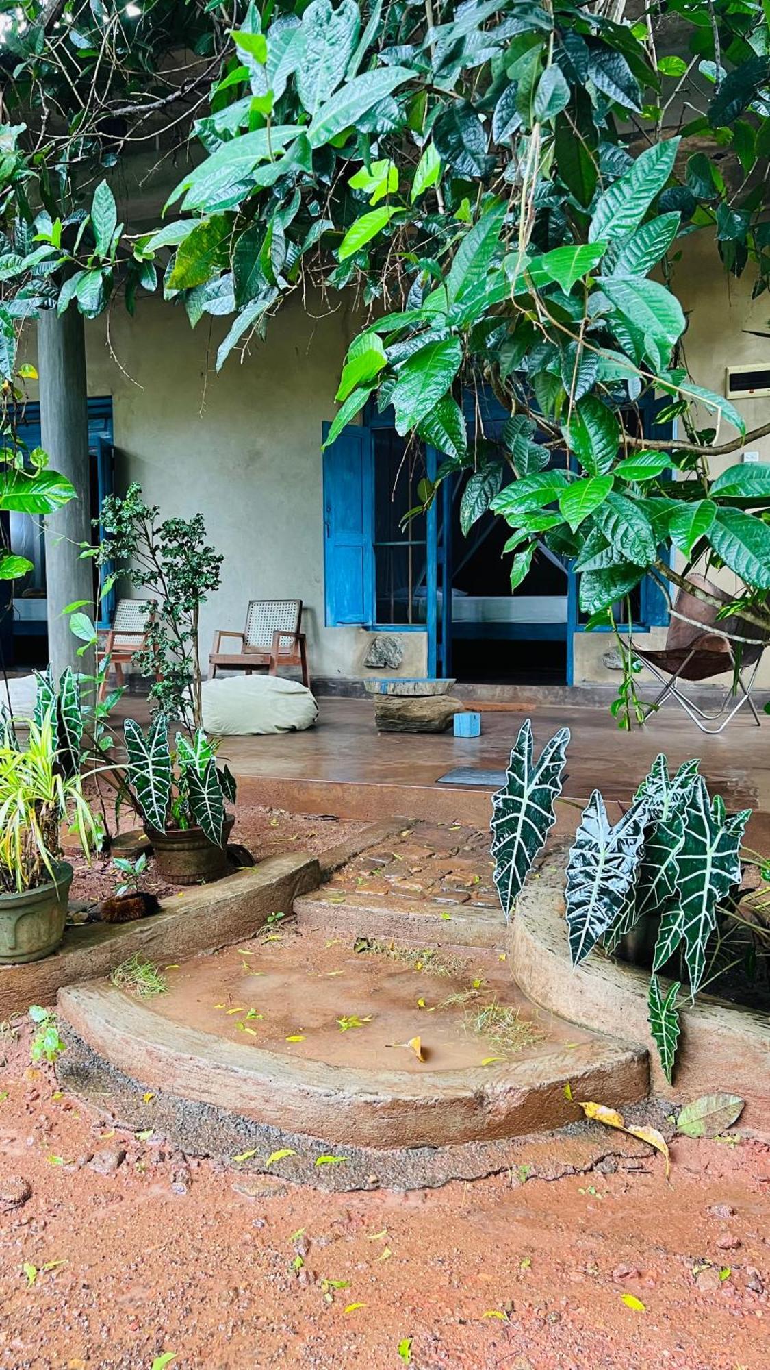 Kataragama Homestay المظهر الخارجي الصورة
