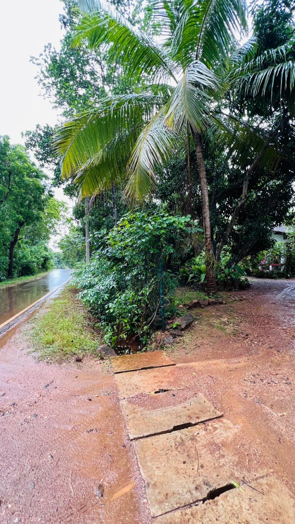 Kataragama Homestay المظهر الخارجي الصورة