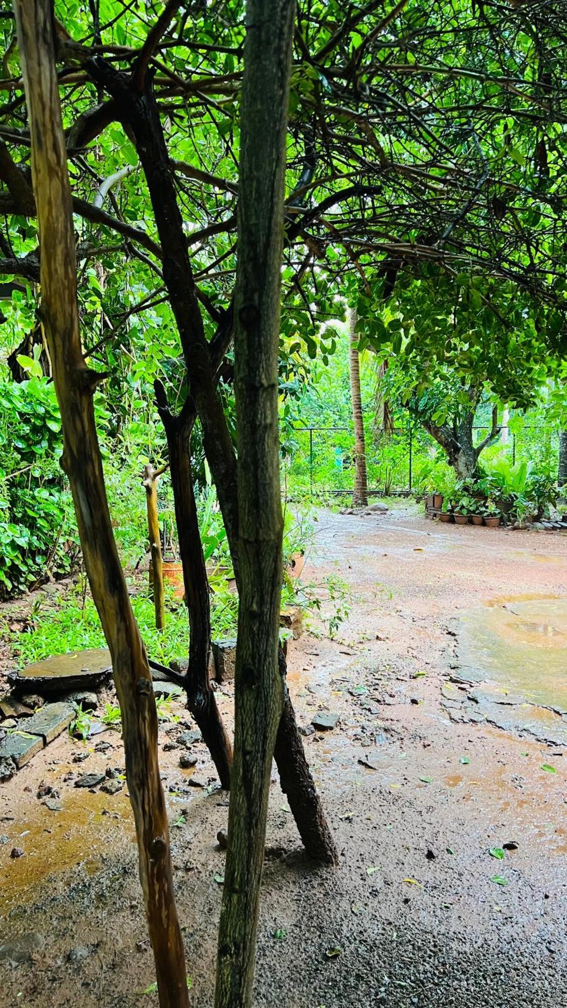 Kataragama Homestay المظهر الخارجي الصورة